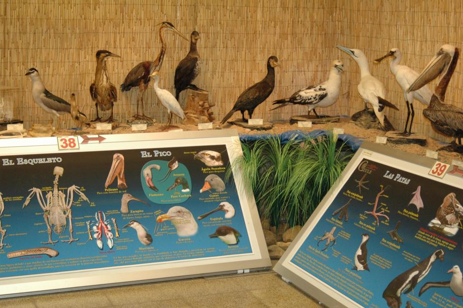 Una exposición de la CZULE muestra cinco fascinantes miradas al mundo